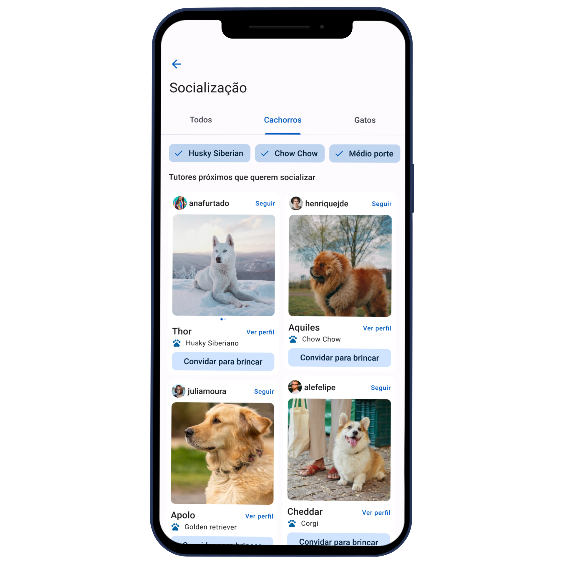 Mockups do aplicativo no iphone
